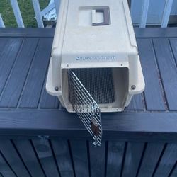 Dog Kennel 