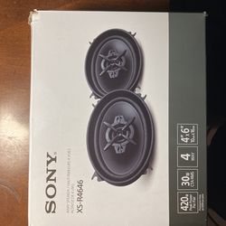 Sony Speakers: XS-R4646