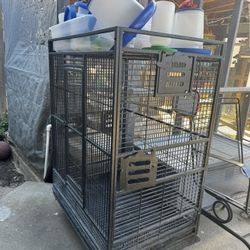 Bird Cage
