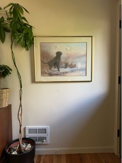Signed Numbered Tom Sander Framed Black Labrador Duck Hunting Art Print Cottage Core