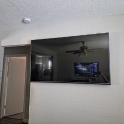 LG 65" TV