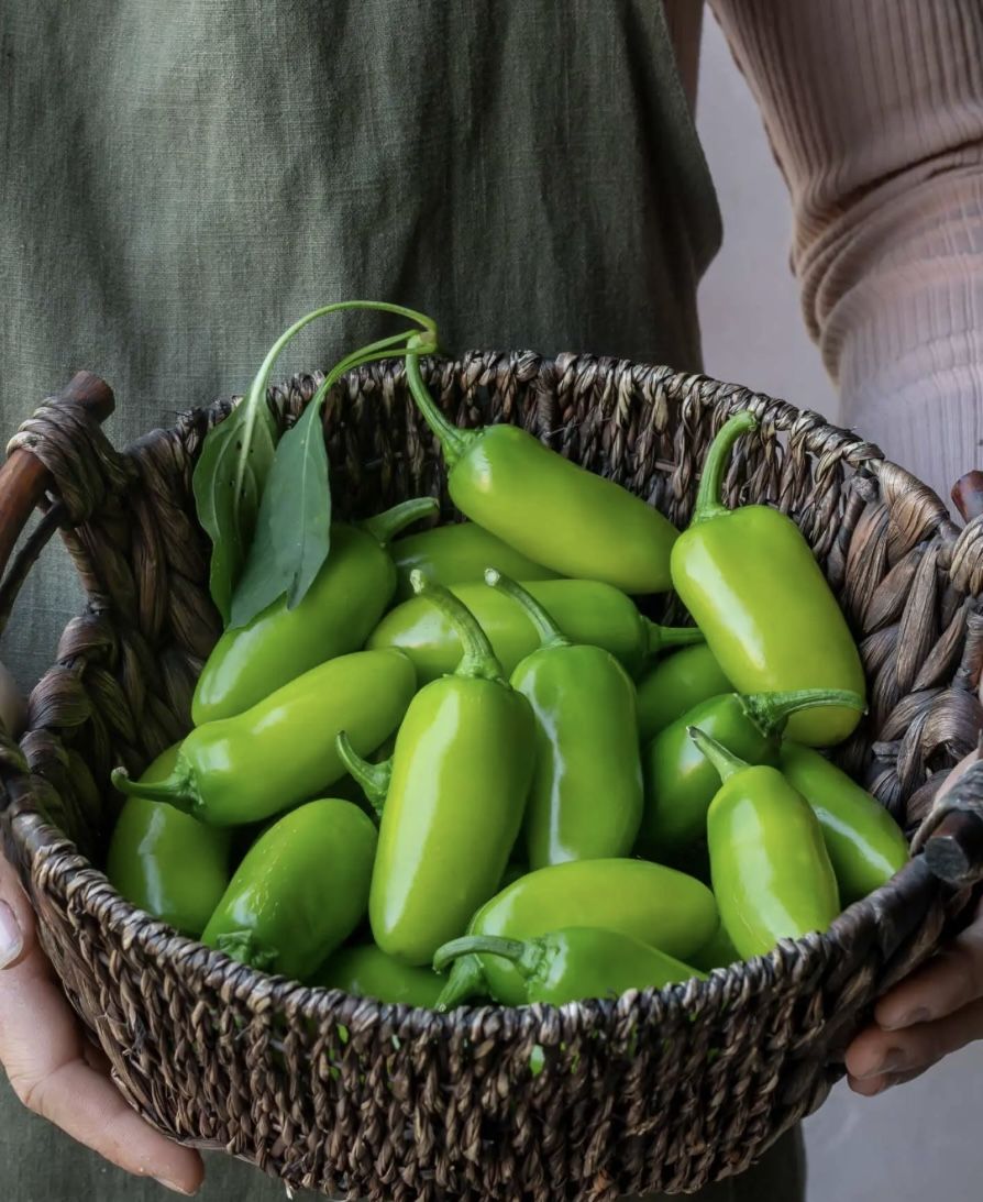 Plant starts Jalapeño Grande ll Seedlings $1 for 2 plants