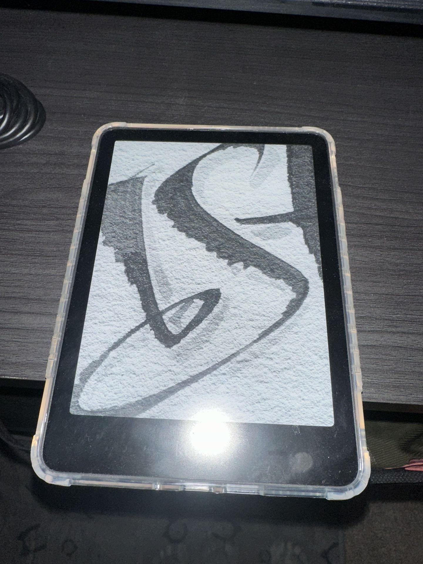 Kindle Paperwhite (basically New)