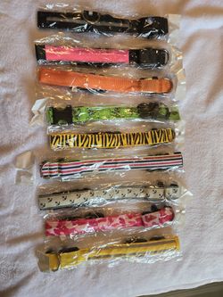 Dog Collars/leashes/harnesses