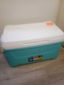 Cooler igloo