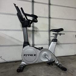 True Fitness Es900 Upright Exercise Bike