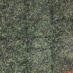 Grass wall 