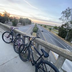 26 inch bikelife bike