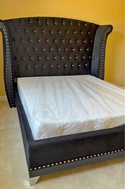 Queen Bed Frame | Available Now
