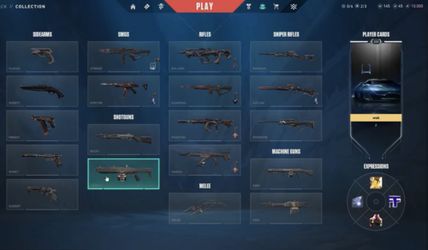 NA Valorant Account ( Stacked Immortal Account)