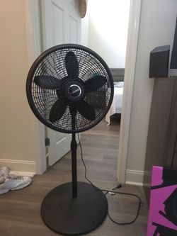 Standing Fan