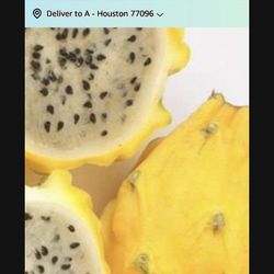 Colomban Yellow Dragon Fruit Seedling Plant