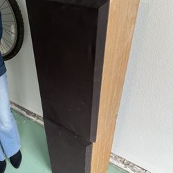 Speakers: Dynamic Audio Pro Poly Series 1901