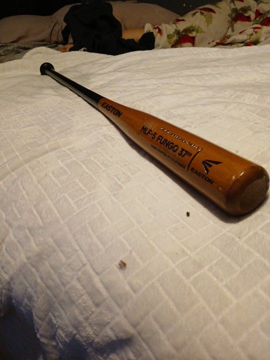 Baseball Bat FUNGO 37"Easton