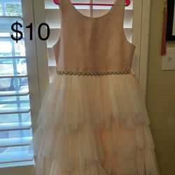 Pink Dress  10