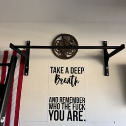 Rogue Pull up Bar 
