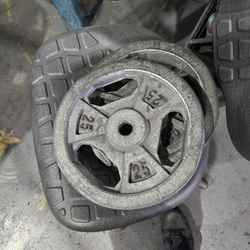 25lbs Weights