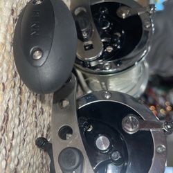 pair of wide penn senators 