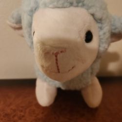 NWOT Light Blue Lamb