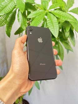 iPhone XR - Unlocked - 64GB