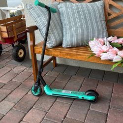 Electric Scooter Youth Sz 