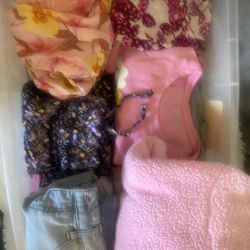 Like new Girls Clothing Lot Size 10/12