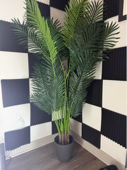 6’ft faux palm plant