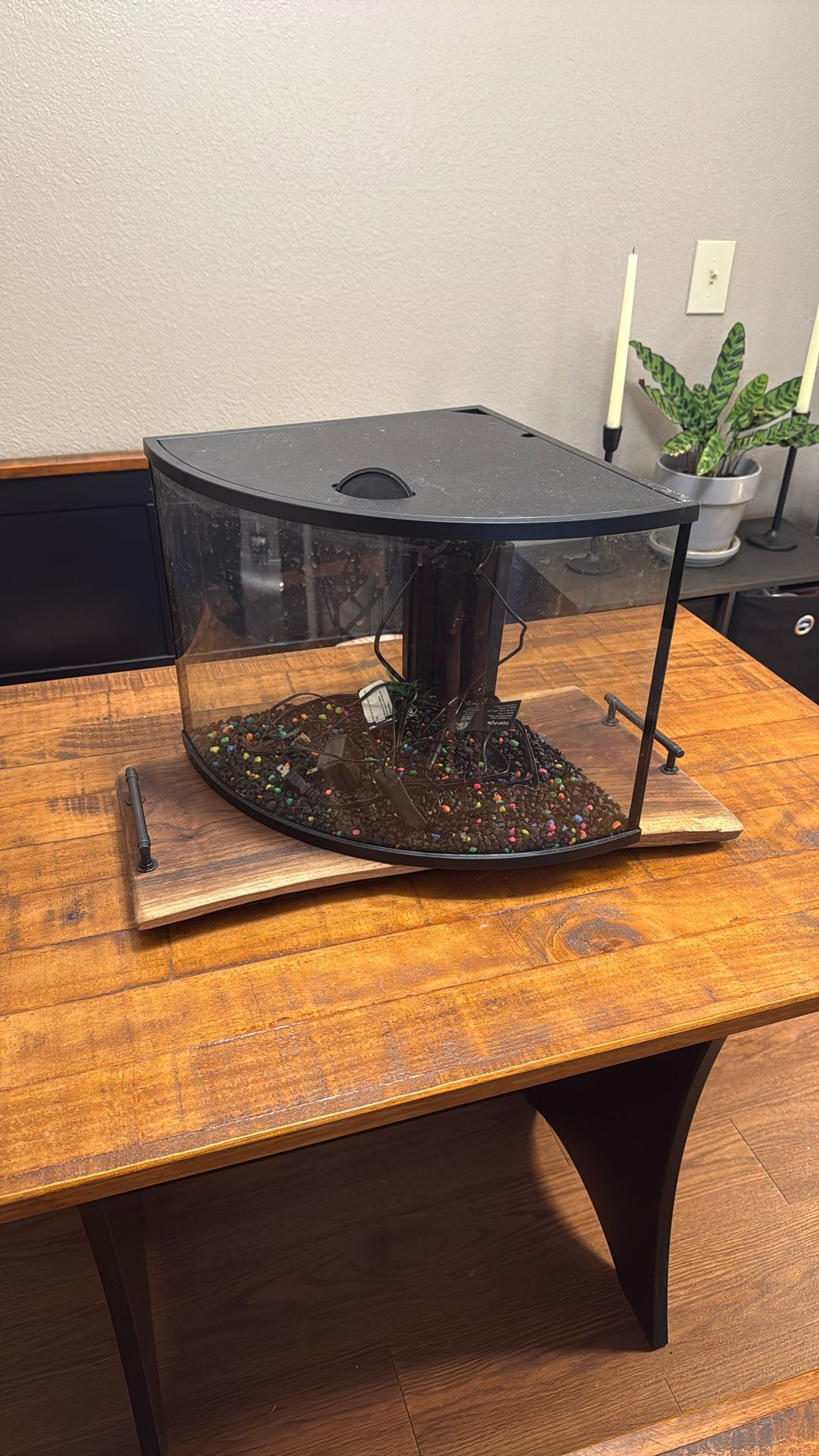 Corner Fish Tank