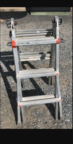 Little Giant Velocity Ladder