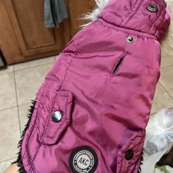Doggie Jacket 