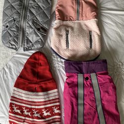 3 Jackets and 1 Sweater for Small dog