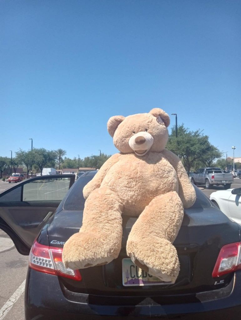 Stuffed Animal