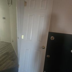 24in x 80in indoor door 