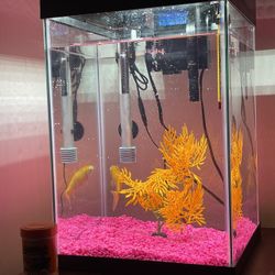 10 Gallon Fish Tank 