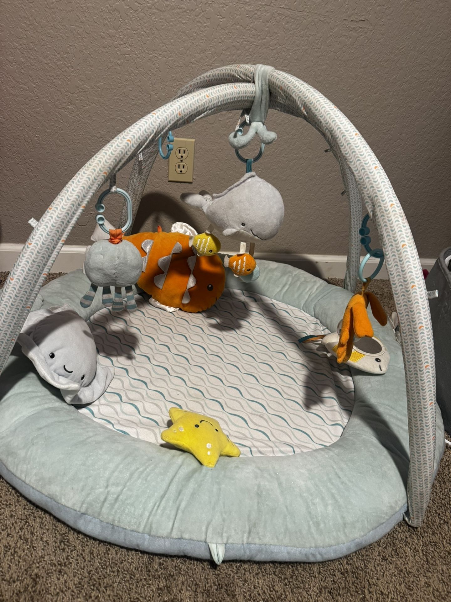 Baby Play Mat
