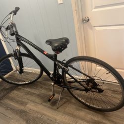Globe Specialized Large Frame Bicycle. 
