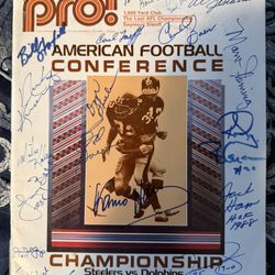Rare! 1972 Dolphins Steelers AFC championship Game Program Signed By 28