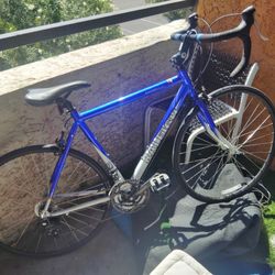 Raleigh Sport Bike 