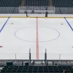 Washington Capitals at Anaheim Ducks