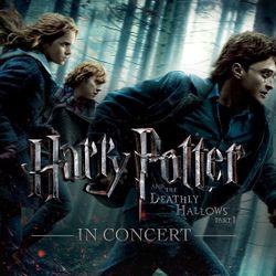 1 Ticket Tonight - Harry Potter Section K2 Row 7 - Hollywood Bowl