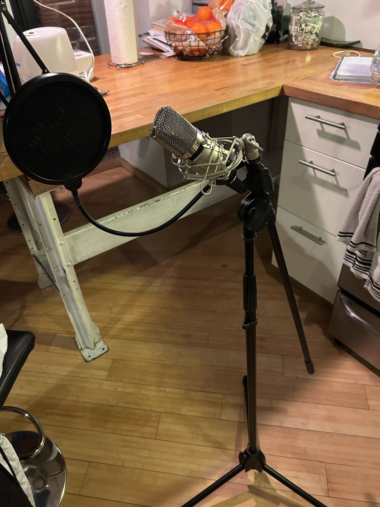 Pro Condenser Microphone Bundle w/ Pop Filter & Adjustable Floor Stand