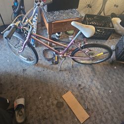 22 Inch Schinn Mountains Bike