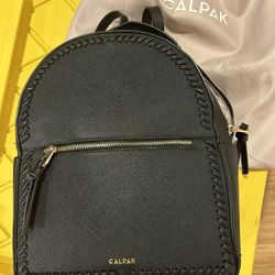 Calpak Travel Backpack & Dustbag
