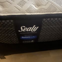 Sealy Mattress & Box Spring 