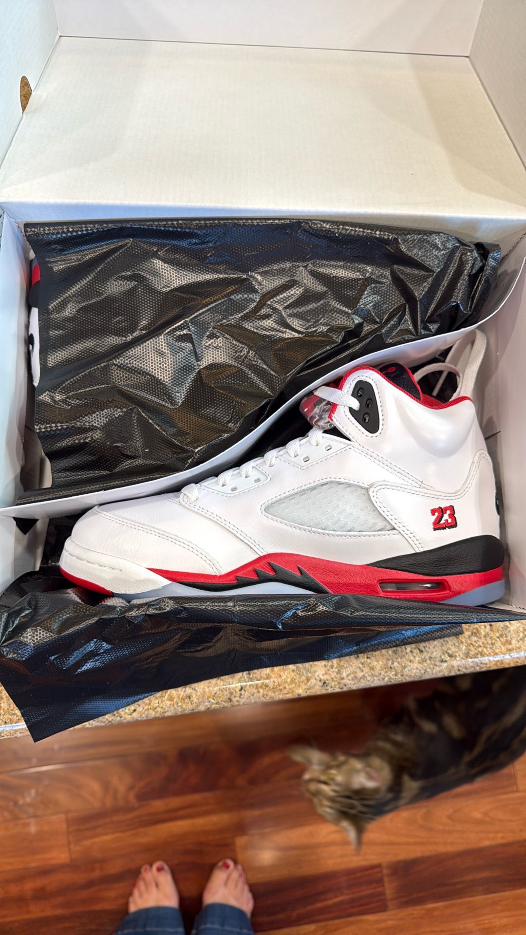 Air Jordan Retro OG 5