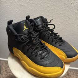 Jordan 12 