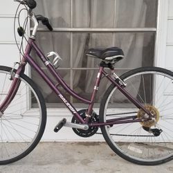 Raleigh Detour 2.5 Bicycle 
