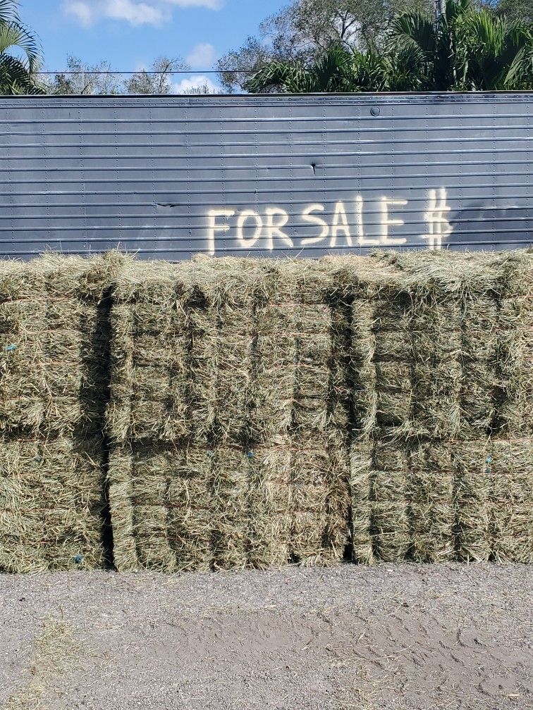 Premium 2nd Cut T/A Hay