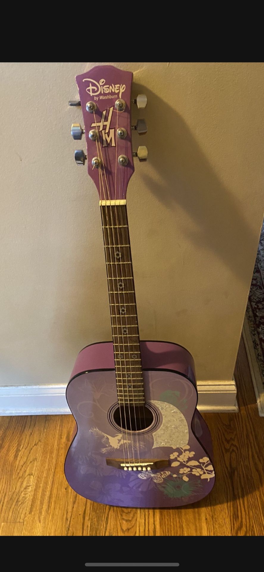 ACOUSTIC GUITAR
