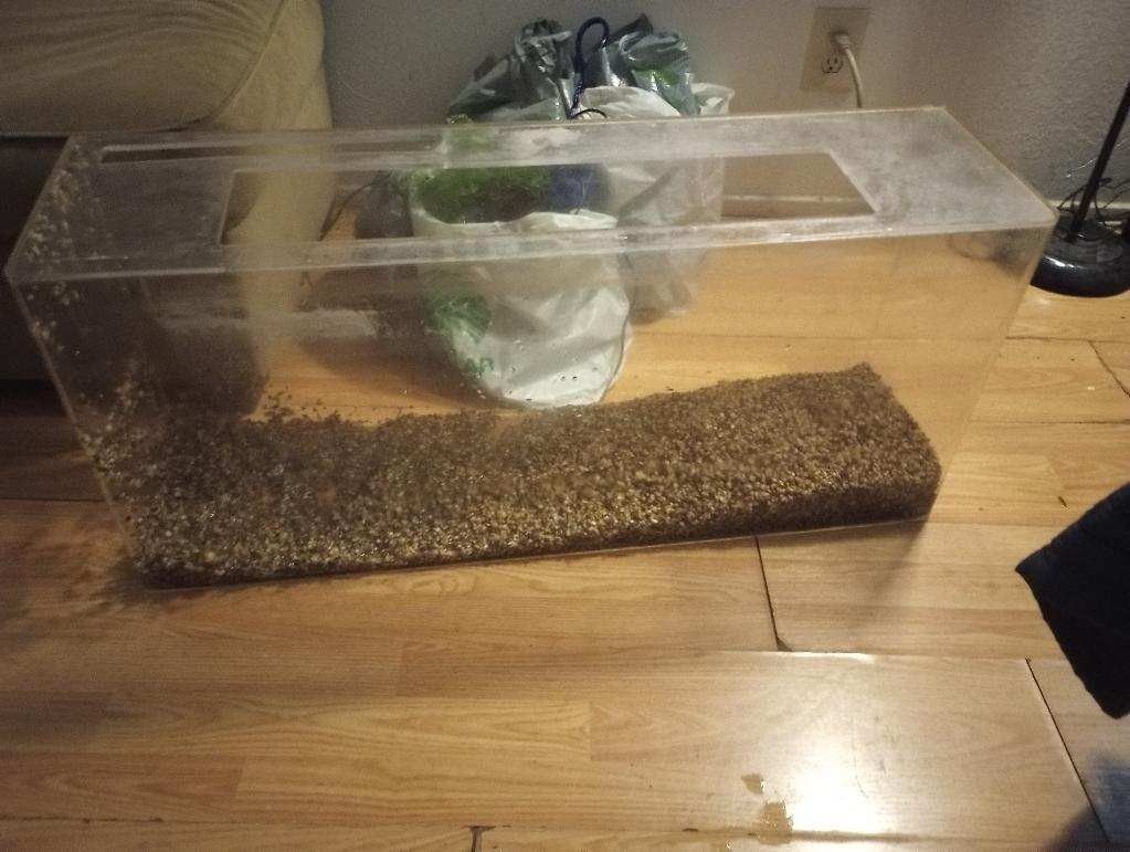 30 Gallon Fish Tank